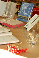 OPN-2010-11-16-KMH-07.jpg